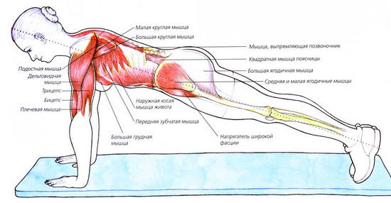 техника выполнения планки